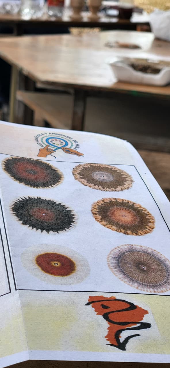 Imagen alusiva a Tercera Sesión de la Escuela Agroecológica: suelos y pociones mágicas para su bioremediación. 